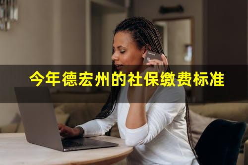 今年德宏州的社保缴费标准