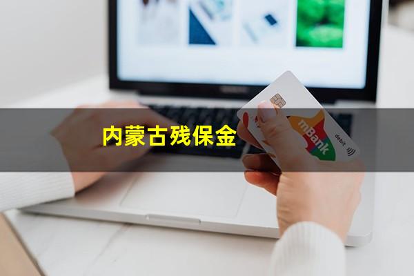内蒙古残保金