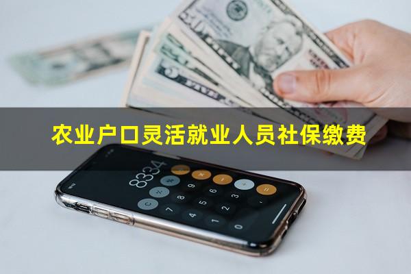 农业户口灵活就业人员社保缴费
