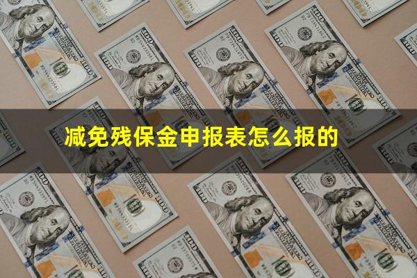 减免残保金申报表怎么报的