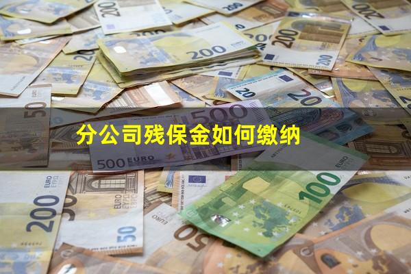分公司残保金如何缴纳