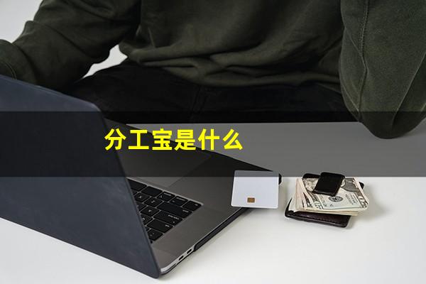 分工宝是什么