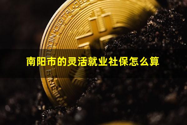 南阳市的灵活就业社保怎么算