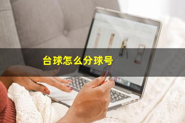 台球怎么分球号