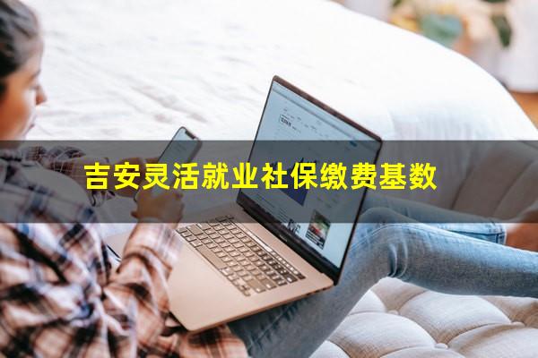 吉安灵活就业社保缴费基数