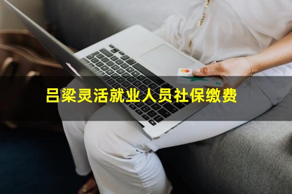 吕梁灵活就业人员社保缴费