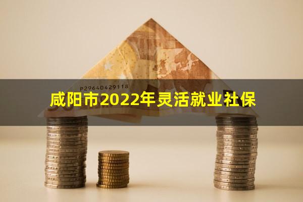 咸阳市2022年灵活就业社保