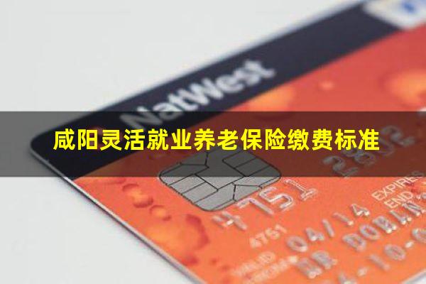 咸阳灵活就业养老保险缴费标准