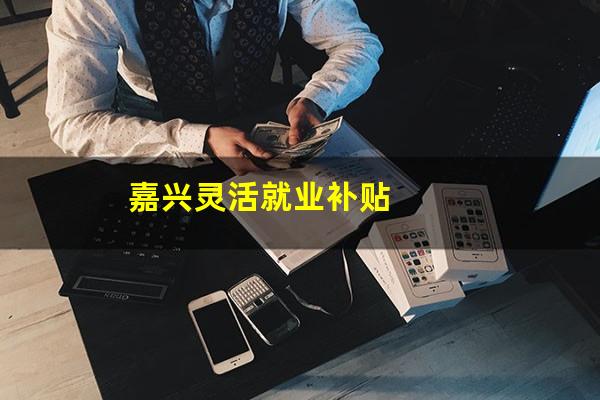 嘉兴灵活就业补贴