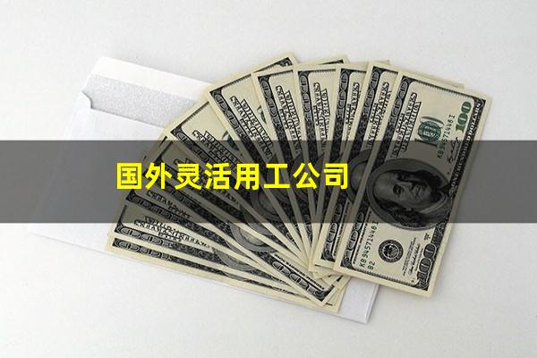 国外灵活用工公司