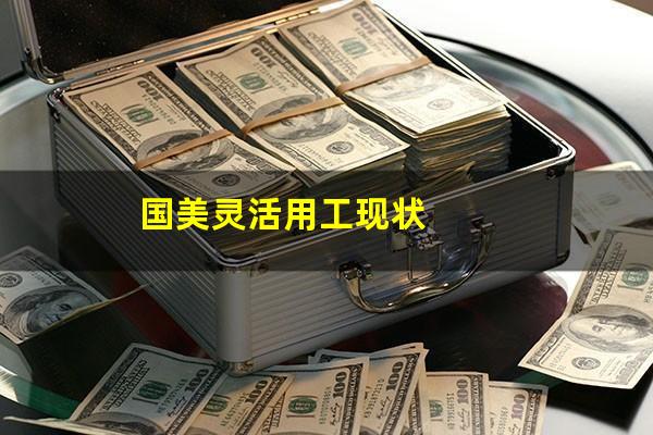 国美灵活用工现状