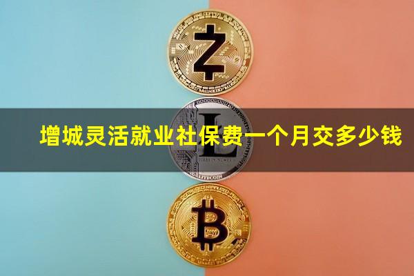 增城灵活就业社保费一个月交多少钱