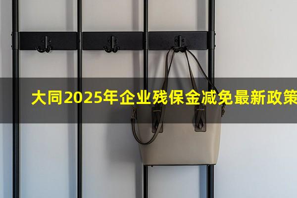 大同残保金 大同2025年企业残保金减免最新政策
