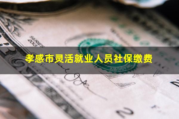 孝感市灵活就业人员社保缴费
