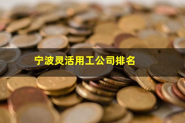 宁波灵活用工公司排名