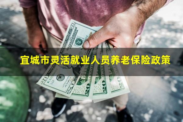 宜城市灵活就业人员养老保险政策