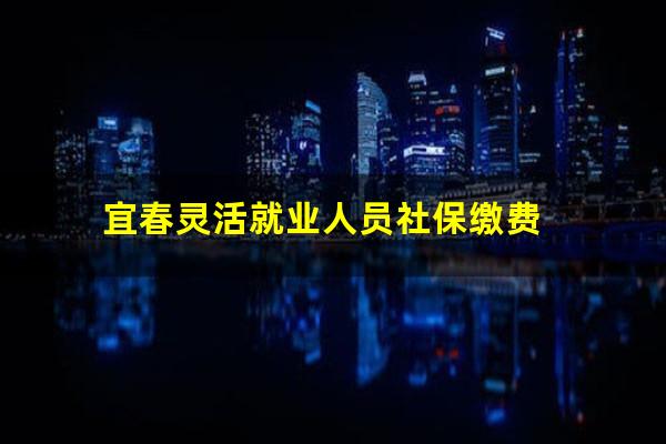 宜春灵活就业人员社保缴费