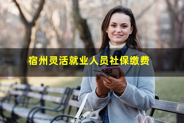 宿州灵活就业人员社保缴费