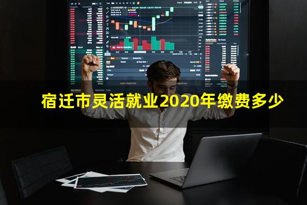 宿迁市灵活就业2020年缴费多少