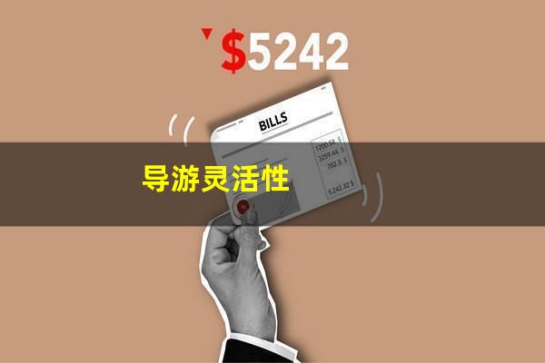导游灵活性