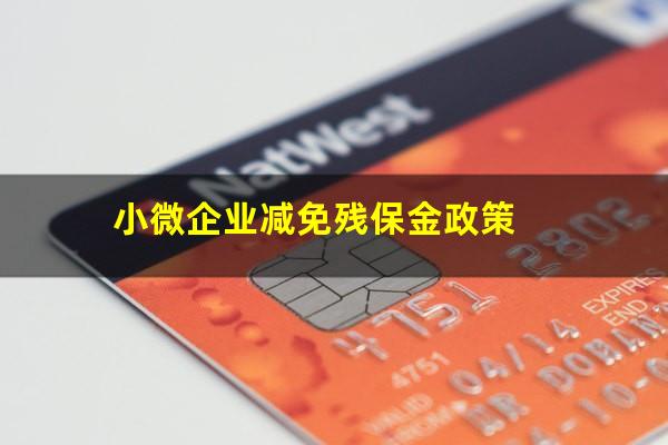 小微企业减免残保金政策