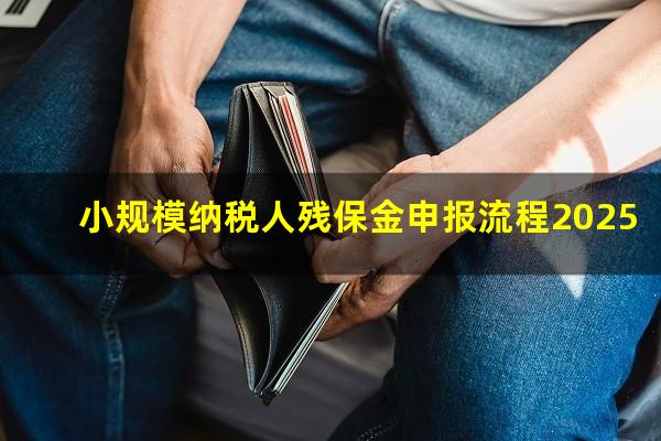 小规模纳税人残保金申报流程2025