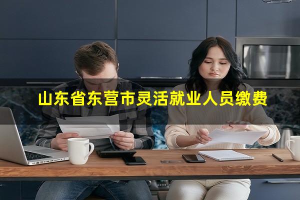 山东省东营市灵活就业人员缴费