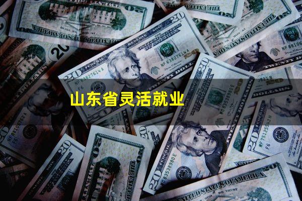 山东省灵活就业