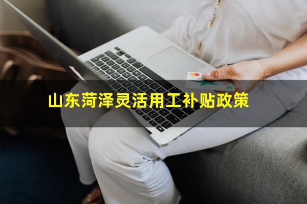 山东菏泽灵活用工补贴政策