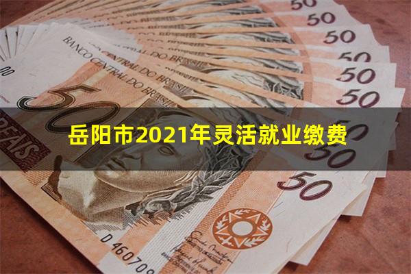 岳阳市2021年灵活就业缴费