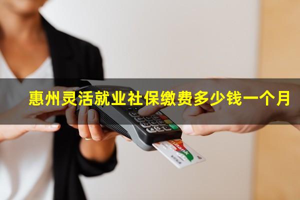 惠州灵活就业社保缴费多少钱一个月