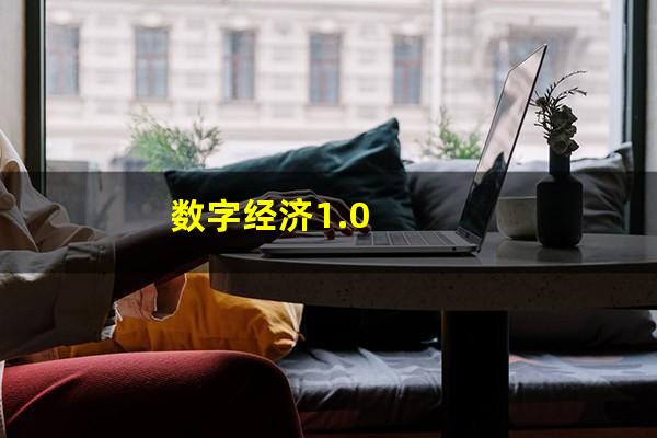 数字经济1.0