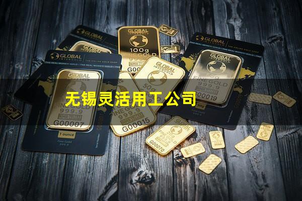 无锡灵活用工公司