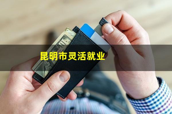 昆明市灵活就业