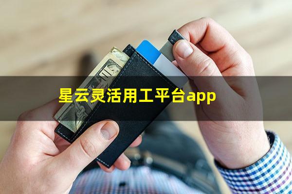 星云灵活用工平台app