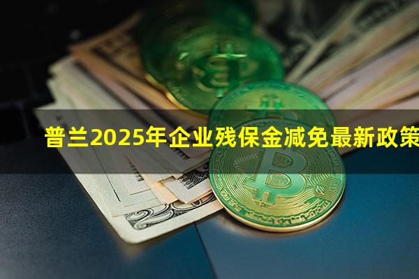 普兰2025年企业残保金减免最新政策