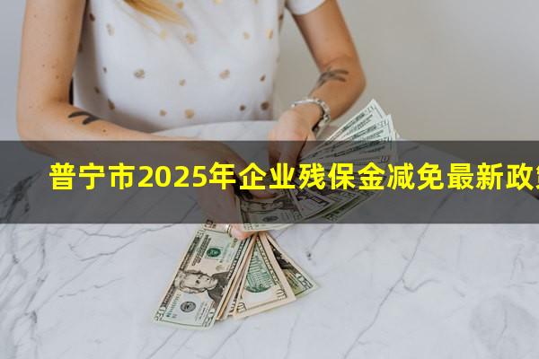 普宁市2025年企业残保金减免最新政策