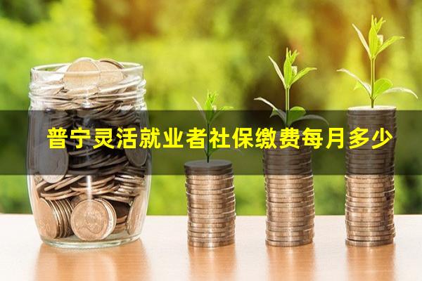 普宁灵活就业者社保缴费每月多少