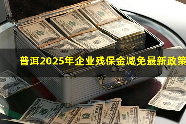 普洱2025年企业残保金减免最新政策