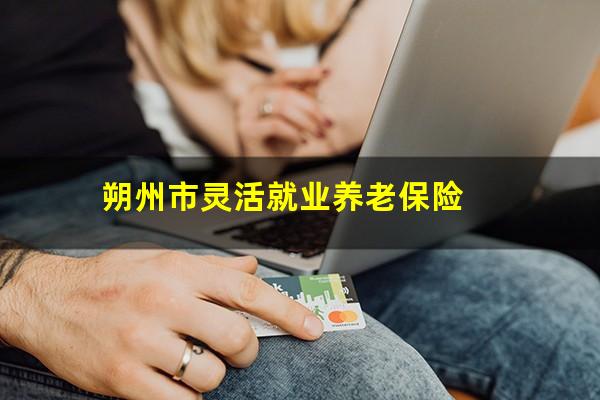 朔州市灵活就业养老保险