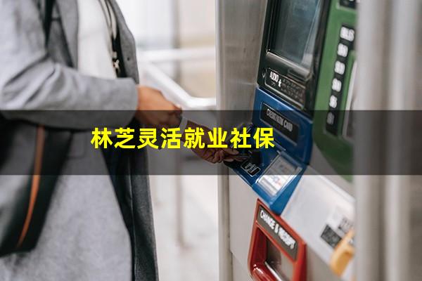 林芝灵活就业社保