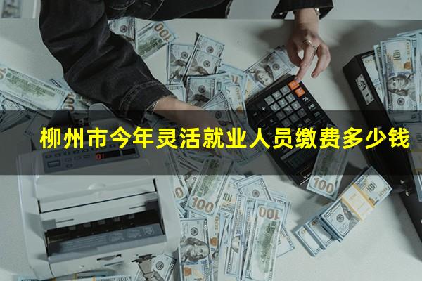 柳州市今年灵活就业人员缴费多少钱