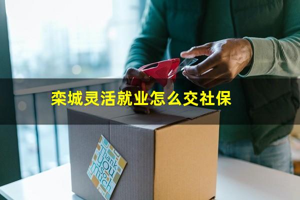 栾城灵活就业怎么交社保