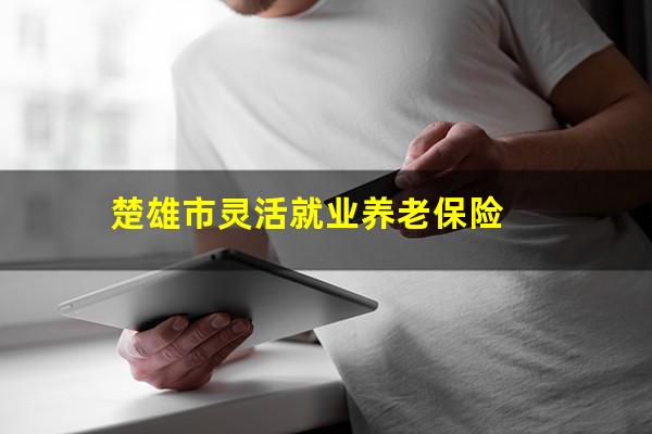 楚雄市灵活就业养老保险