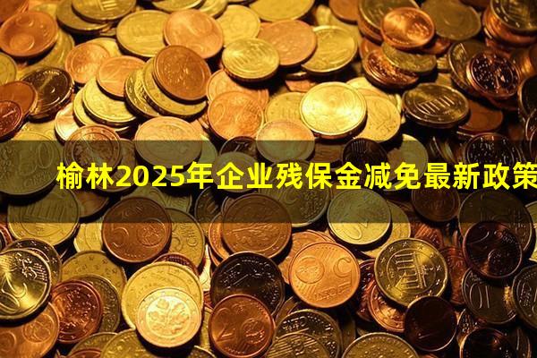 榆林2025年企业残保金减免最新政策