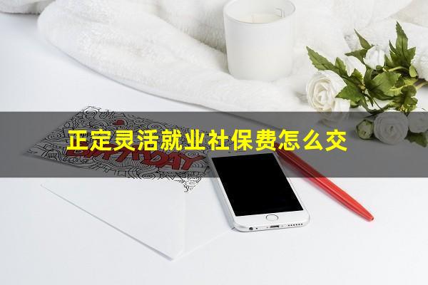 正定灵活就业社保费怎么交
