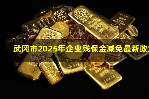 武冈市2025年企业残保金减免最新政策