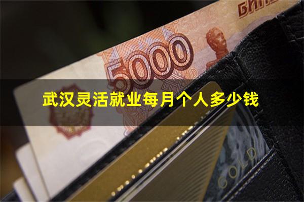武汉灵活就业每月个人多少钱