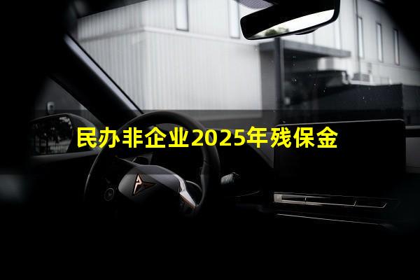 民办非企业2025年残保金