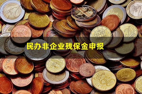 民办非企业残保金申报